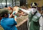 Bupati Bandung Dadang Supriatna Minta, Kurban Dilakukan Di RPH