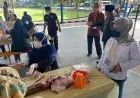 Jumlah Hewan Kurban Menurun Drastis, Prokes Covid-19nya Tetap Terlaksana