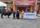 Lebaran Saat PPKM Darurat, Proyek Gas JTB Tebar Puluhan Hewan Kurban