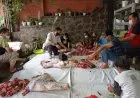 Wakil Rakyat Ini Tebar Ribuan Paket Daging Kurban