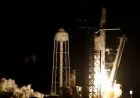 Pengamat Nilai Penjajakan Telkom-SpaceX demi Pemerataan Konektivitas
