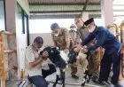 Dewan Tinjau Embrio Sapi Unggulan Buat Dikembangkan di Kabupaten Bogor 