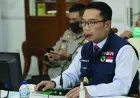 Perbaiki Pola Distribusi Vaksin Covid-19, Ridwan Kamil Lobi Pusat