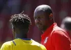 Patrick Vieira Ingin Pertahankan Wilfried Zaha