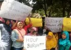 Pengangguran Naik karena Pandemi Covid-19, Ini Solusi Dewan