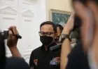 Survei Persepsi Masyarakat, 65 Persen Pendapatan Turun dan Muncul Penyakit Baru