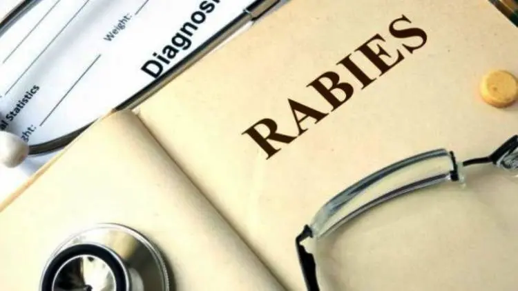 2023 Jabar Targetkan Bebas Rabies