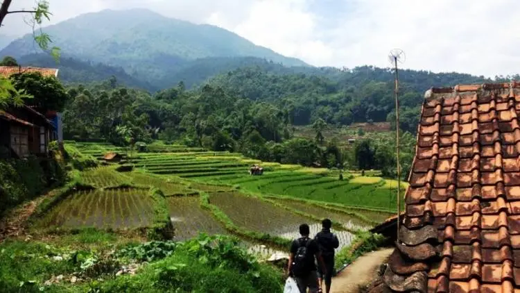 Duh, Rombongan Bikers Rusak Tanaman Kopi di Gunung Puntang