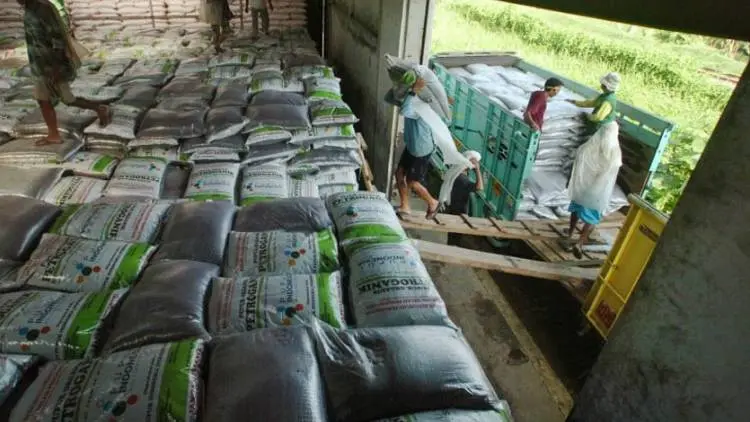 Stok Pupuk di PKC Surplus, Petani Jangan Risau 