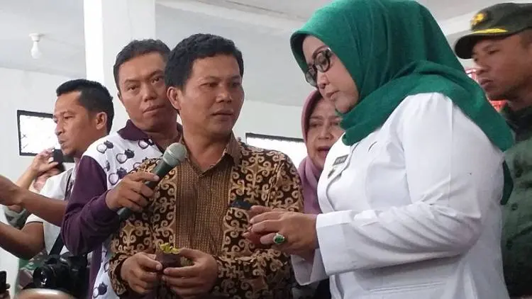 Perangi Tengkulak Manggis, Ini Langkah Pemkab Bogor 