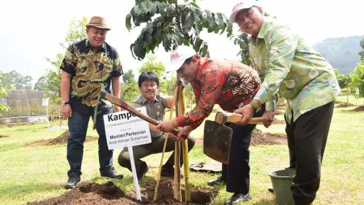 Kelompok Tani Berharap Bantuan Bibit Kopi dari Pemerintah