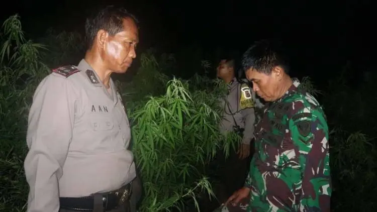 Perhutani Sesalkan Ada Perkebunan di KPS Sukasari