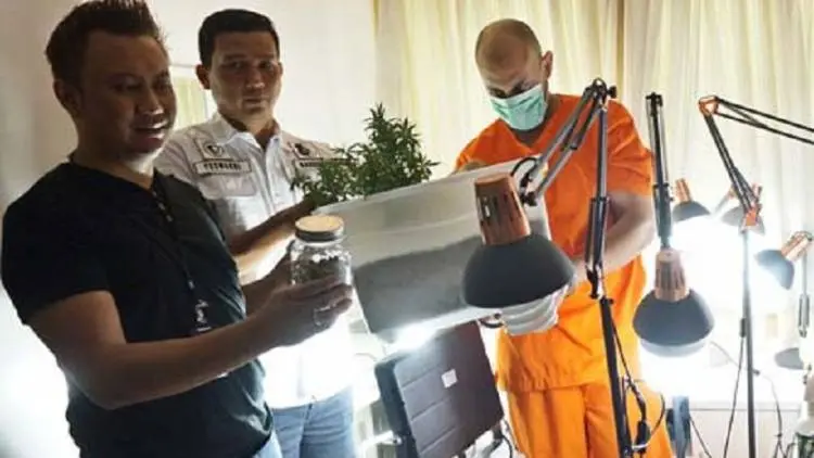 Tanam Ganja di Apartemen, Warga AS Ditangkap