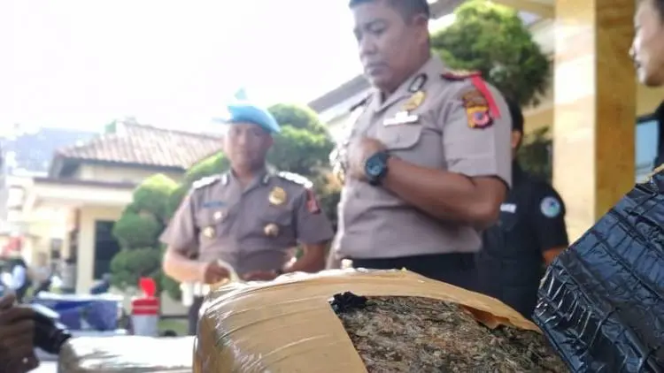 Polres Bandung Amankan 12 Kg Ganja di Dua TKP