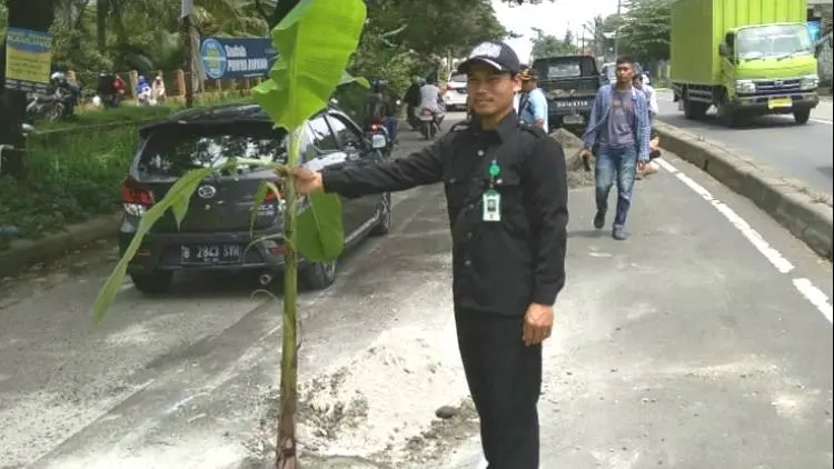 Sering Kecelakaan, Ada Pohon Pisang di Tengah Jalan Raya Parung Bogor
