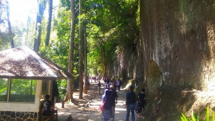 Tahura Dago Bandung Akan Dikembangkan Jadi BLUD