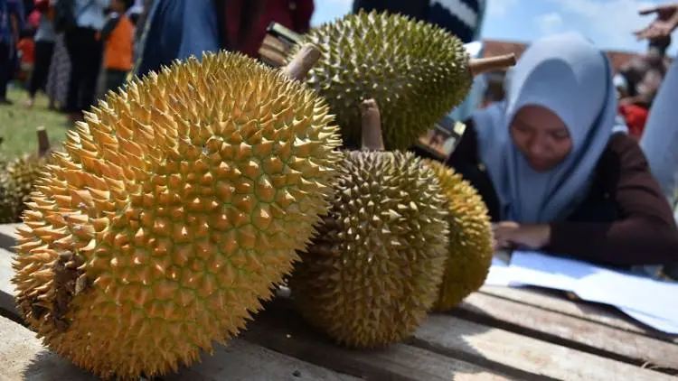 Keren...Buah Durian Kini Jadi Ikon Sukabumi