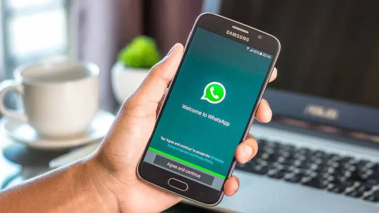WhatsApp Web Rilis Fitur Baru Pemutar Video