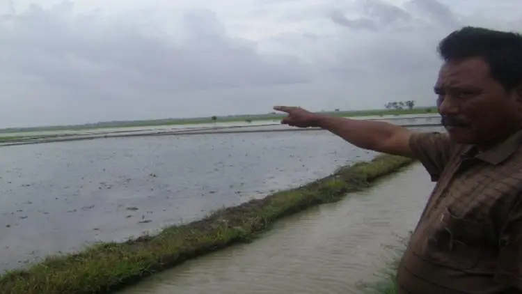 150 Ha Tambak Ikan di Karawang Hancur Diterjang Banjir