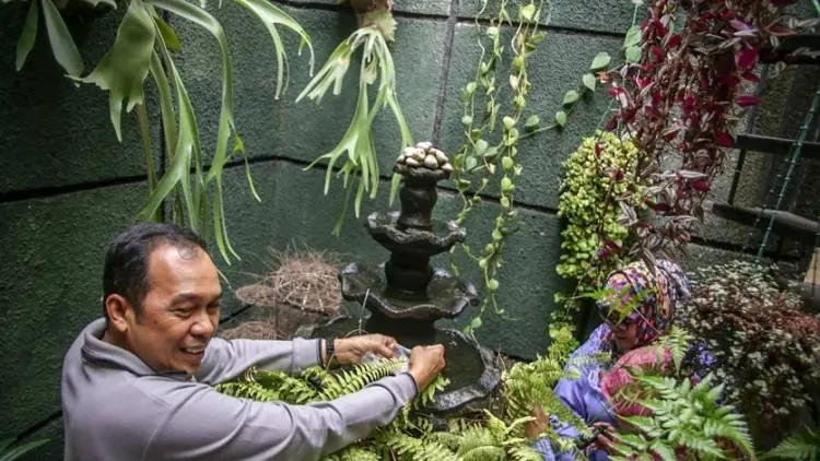 Usir Jentik Nyamuk, Pemkot Cimahi Sebar 400 Ikan Cupang