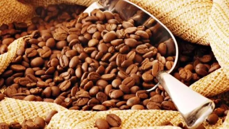  SCAI Sebut Kopi Jabar Spesial, Ini Alasannya