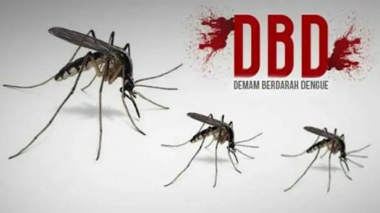 Waspada, Kasus DBD di Kota Cimahi Masih Tinggi