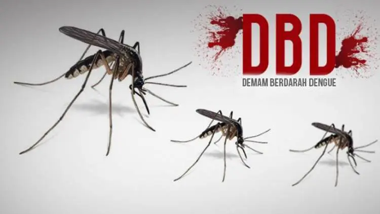 Semakin Dini DBD Diketahui, Makin Mudah Ditangani!
