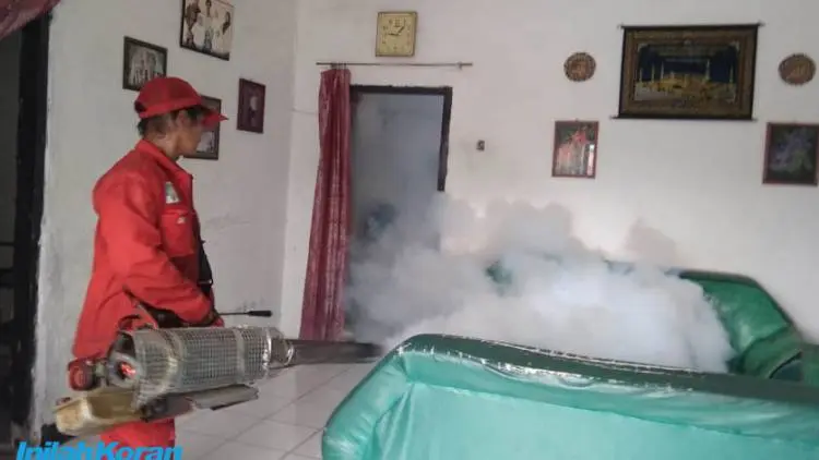 Kasus DBD Naik, Permintaan Fogging Meningkat