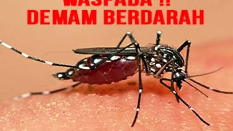 Kasus DBD Selama Tiga Tahun Terakhir di Jabar