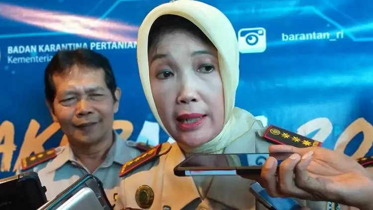 Agro Gemilang Bakal Dongkrak Ekspor Buah Manggis Kab Bogor