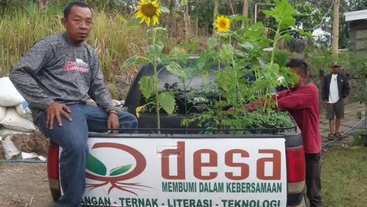 Bunga Matahari, Pemenuh Gizi dan Perbaiki Ekosistem