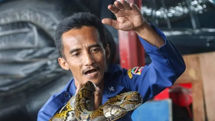 Takut Api atau Ular? Nih, Abah Rizal Penjinaknya