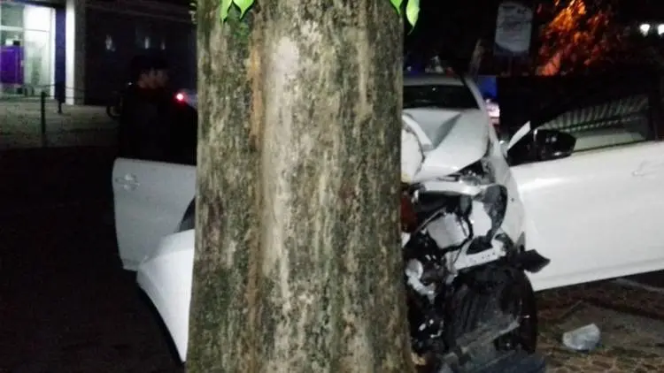 Mobil Pegawai Disdik Hajar Pohon, Tiga ASN Dilarikan ke UGD