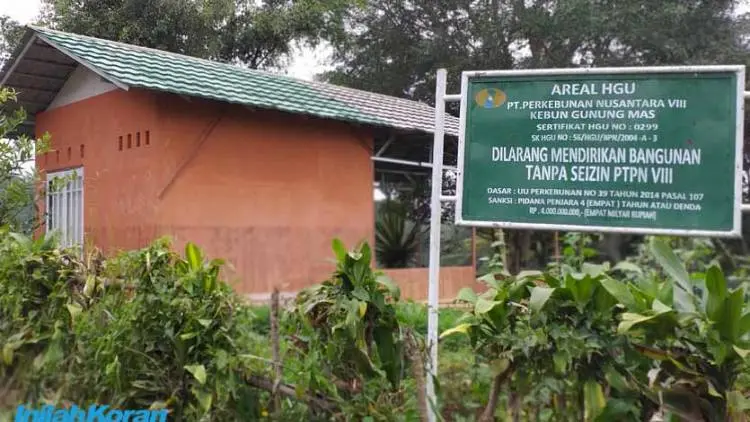 Lahan Milik PT Perkebunan Nusantara Diserobot, Puncak jadi Rawan Benca
