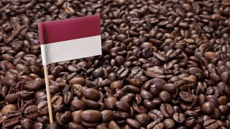 Ketika Kopi Indonesia Jadi Primadona di Belanda