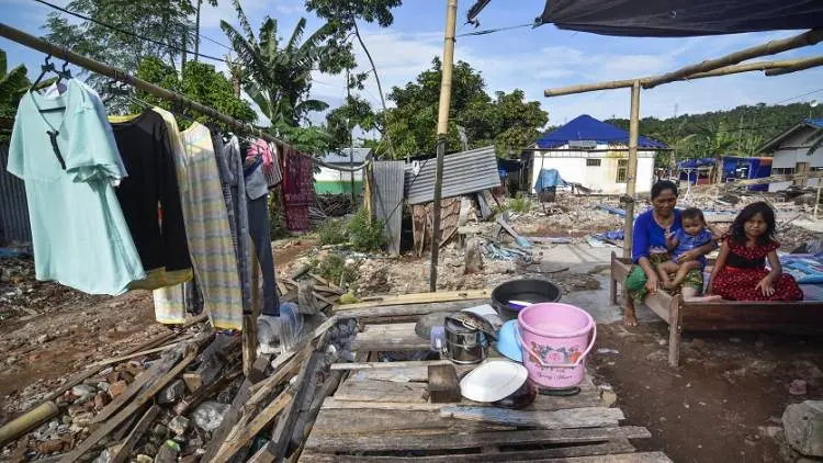 Ada Ladang Ganja di Kawasan Terdampak Gempa