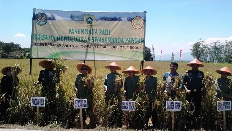 Sawah Abadi Diajukan Tahun Depan