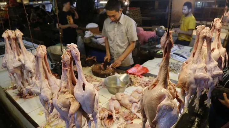 Harga Daging Ayam di Cianjur Bertahan Tinggi
