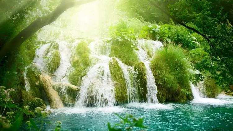 Sungai di Surga Berlimpah Khamar, Susu dan Madu