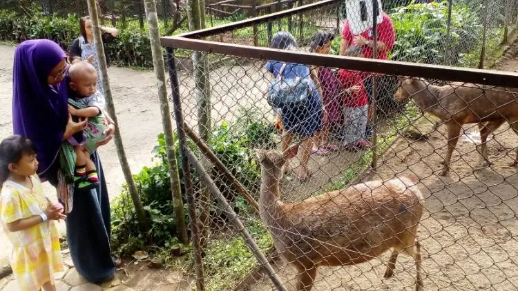 Liburan Akhir Tahun, Bandung Zoo Diserbu Pengunjung