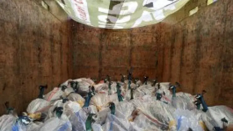 Miris, Ratusan Burung Sitaan Terancam Mati