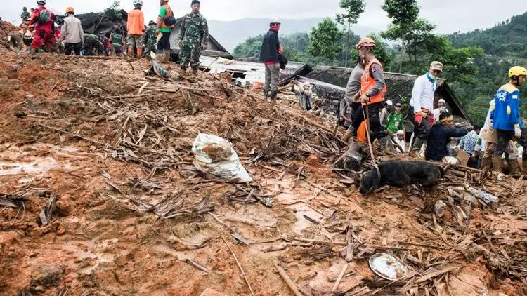 Polda Jabar Turunkan Anjing Pelacak Cari Korban Longsor