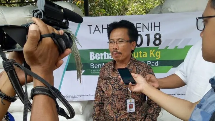 BB Padi Sukamadi Sebar 1.000 Ton Benih Pokok ke Penangkar