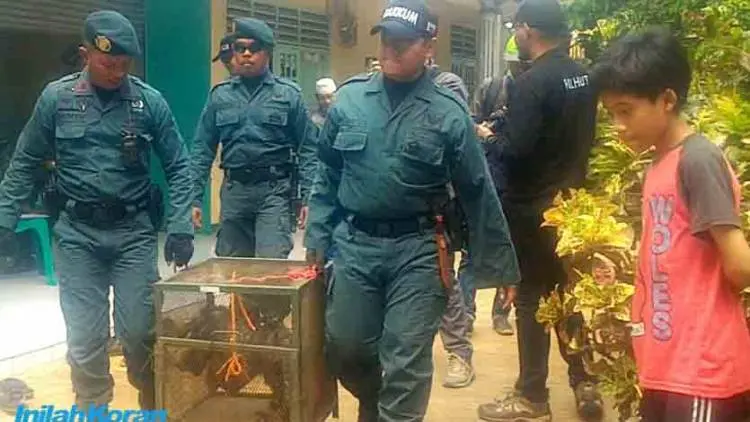 10 Ekor Satwa Langka Diamankan 