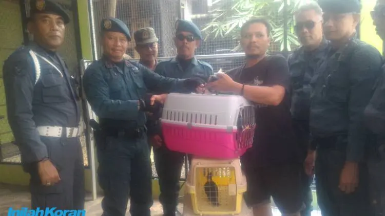 Dirjen Gakkum KLHK Kembali Amankan Satwa Langka di Bogor