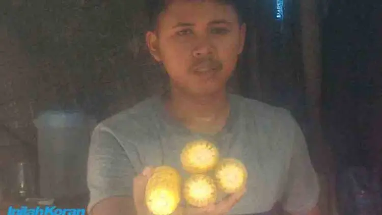 Pemkab Bogor Berencana Ciptakan Sentra Jagung Hybrida