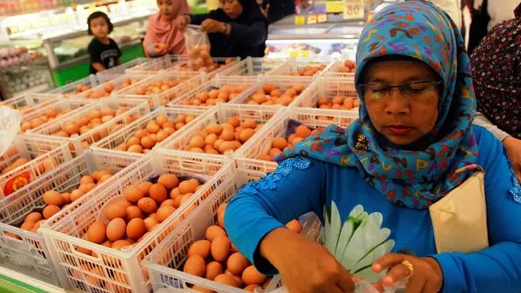 Harga Telur Ayam Naik, Ini Alasanya