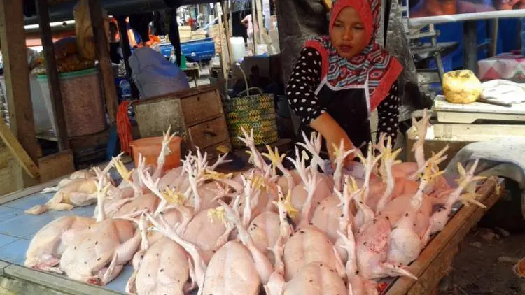 Pedagang: Harga Ayam Naik Hingga Tahun Baru
