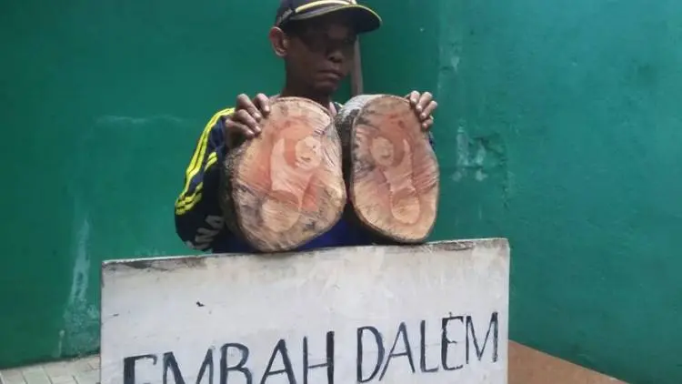 Sepasang Tapak Kaki Ditemukan di Pohon Areal Makam Mbah Dalem
