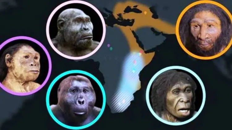 Sains: Evolusi Manusia Selama 7 Juta Tahun, Seperti Apa?